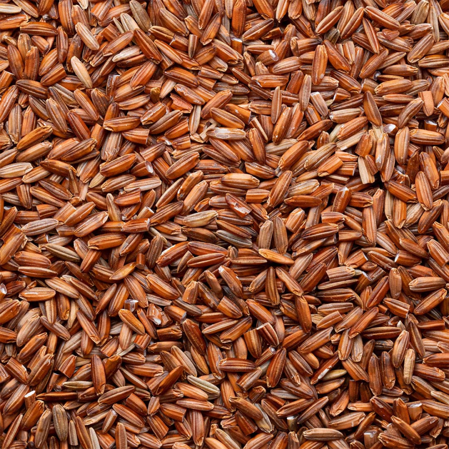 Organic Red Jasmine Rice Lundberg Family Farms