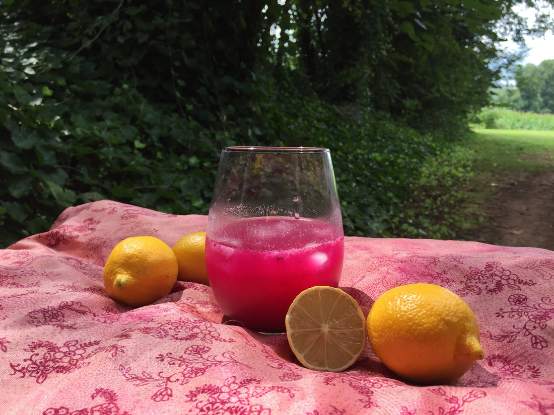 Dragon Berry Pink Lemonade Recipe By Terra Powders