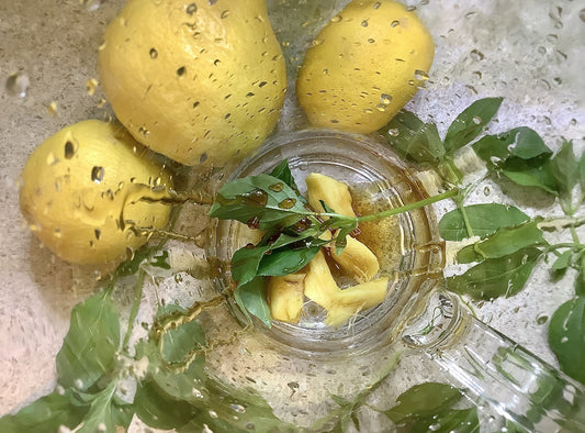 Terra Powders Refreshing Basil Lemon Ginger Spa Water Recipe With Summer Fresh Clean Food Ingredients