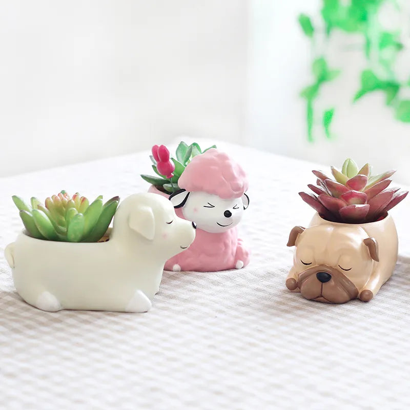cute animal succulent pots Adorable Animals Mini Succulent Bonsai Cactus Planter Pots – Terra Powders