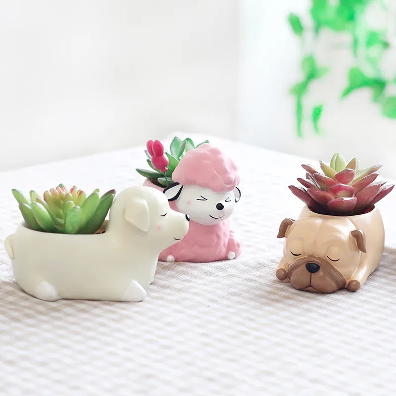 Terra Powders Adorable Animals Mini Succulent Bonsai Cactus Planter Pots In Cute Dogs Shapes