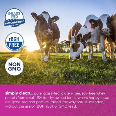 Simply Tera's Whey Powder Is Simply Clean Pure Grass Fed Gluten Free Soy Free Whey Protein From Pasture Raised Happy Cows