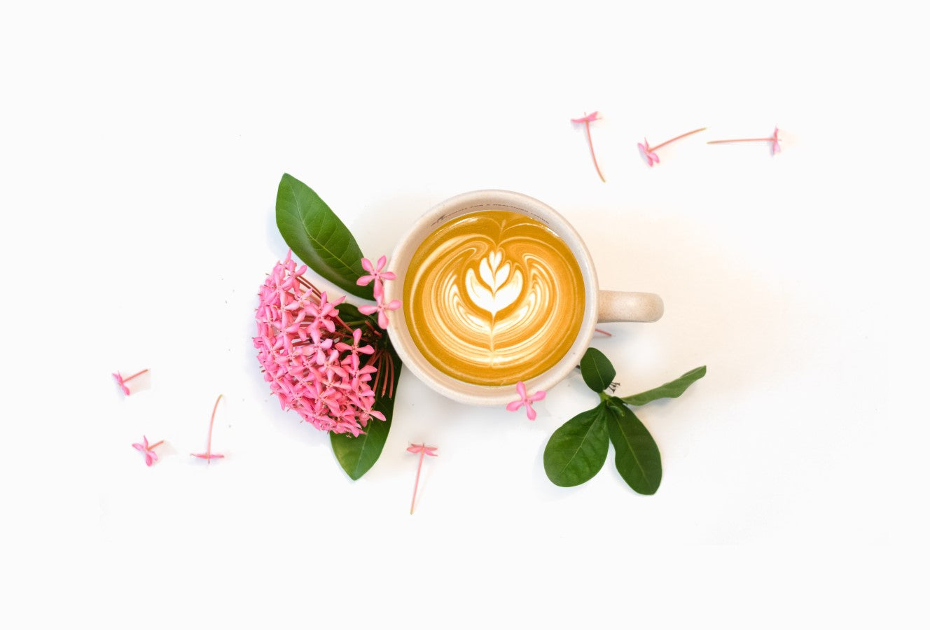 Cappuccino With Dainty Pink Flowers Floral Composition