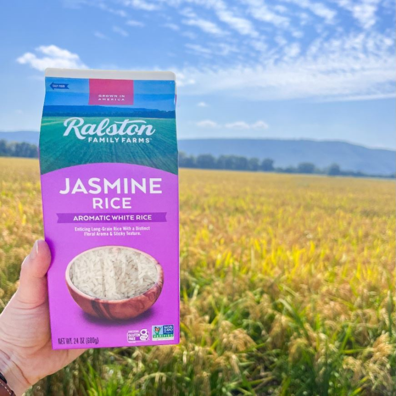 Fragrant Jasmine Rice In Ralston Family Farms Non-GMO Field