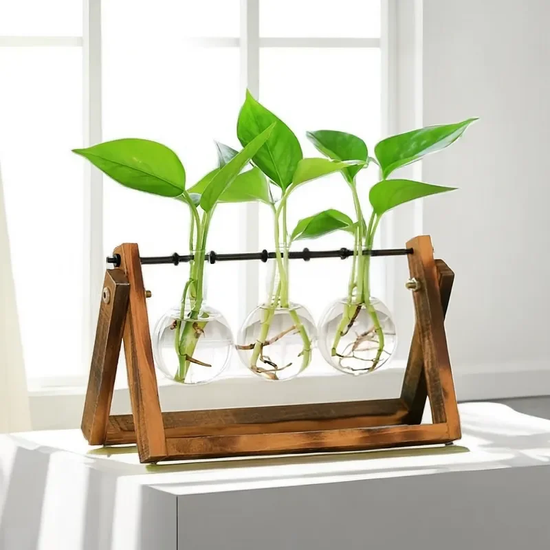 Pendulum Style Hydroponic Vases with Real Wood Base for Spring Sprouts