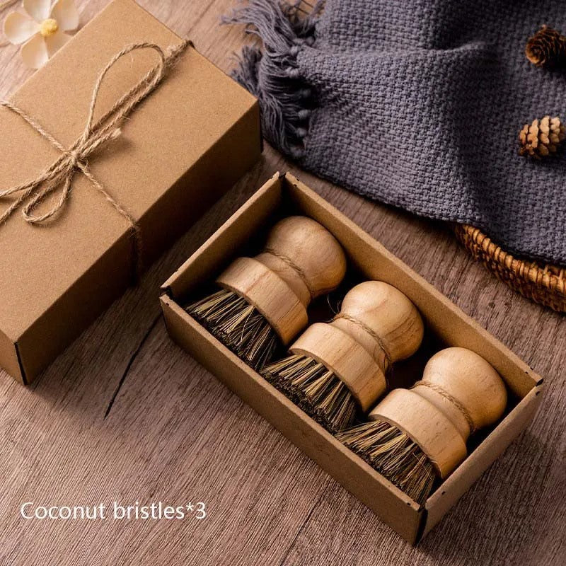 Boxed Set Of 3 Natural Coconut And Sisal Fiber Round Scrub Brushes With Wood Handles