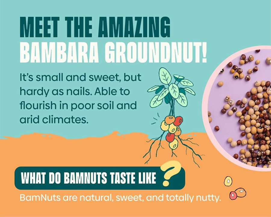 What If Foods Meet The Amazing Bambara Groundnut Small Sweet BamNuts