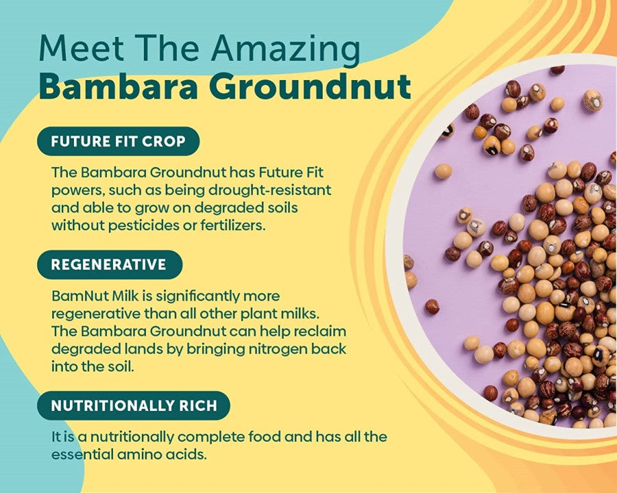 WhatIf Foods Meet The Amazing Bambara Groundnut Nutritionally Rich Vegan Milk
