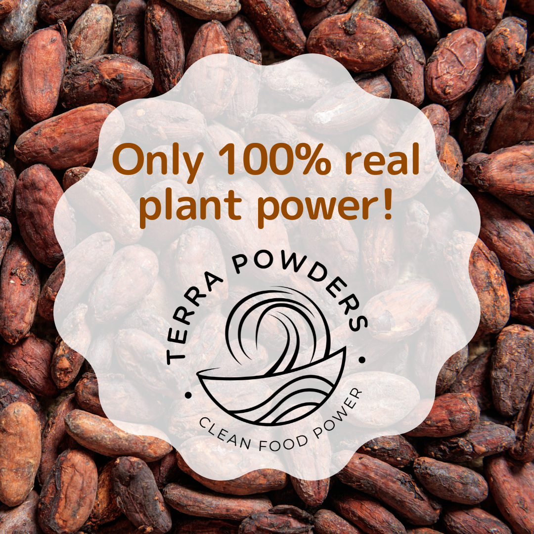 Only 100% Real Plant Power In Terra Powders Golden Cocoa Chocolate Drink Mix Powder