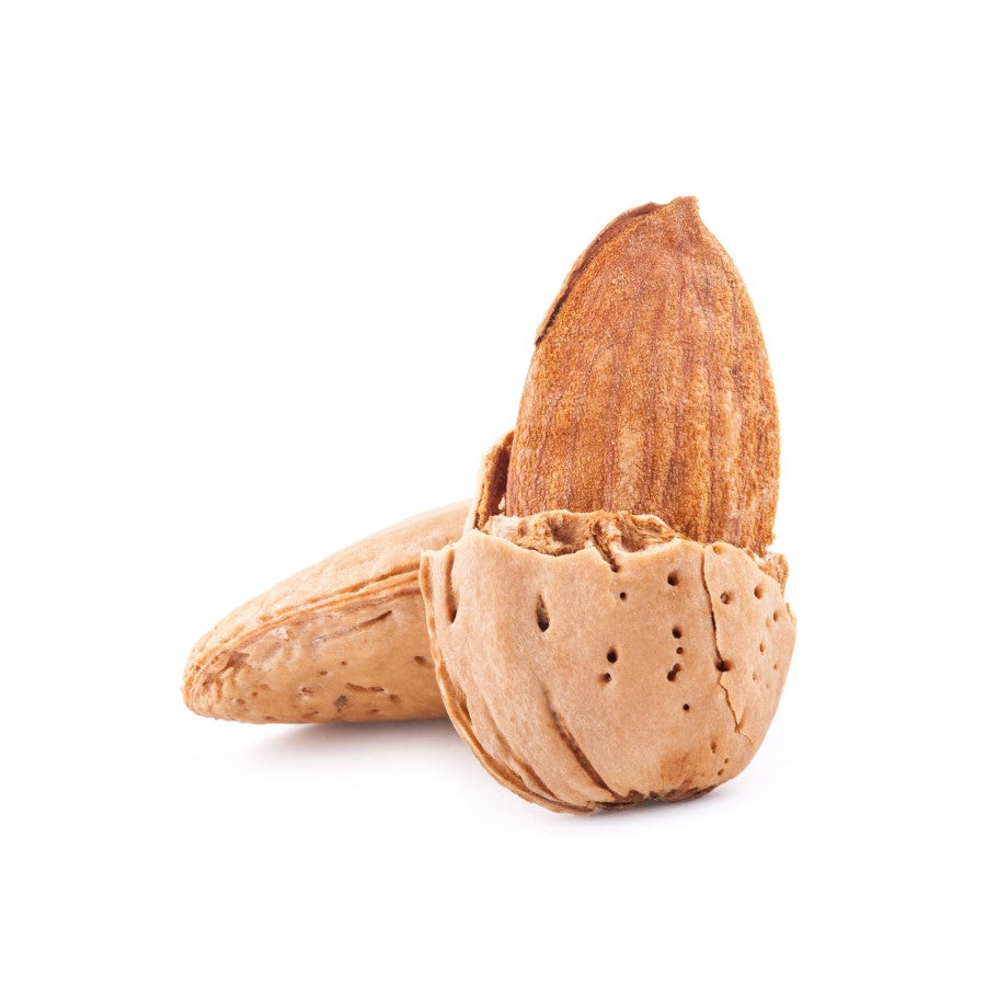 Almond in shell used in Woodstock Roasted Almond Butter