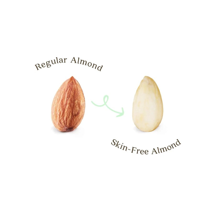 Regular Almond VS Skin Free Almond Used In Creamy Non-GMO Barney Almond Butters