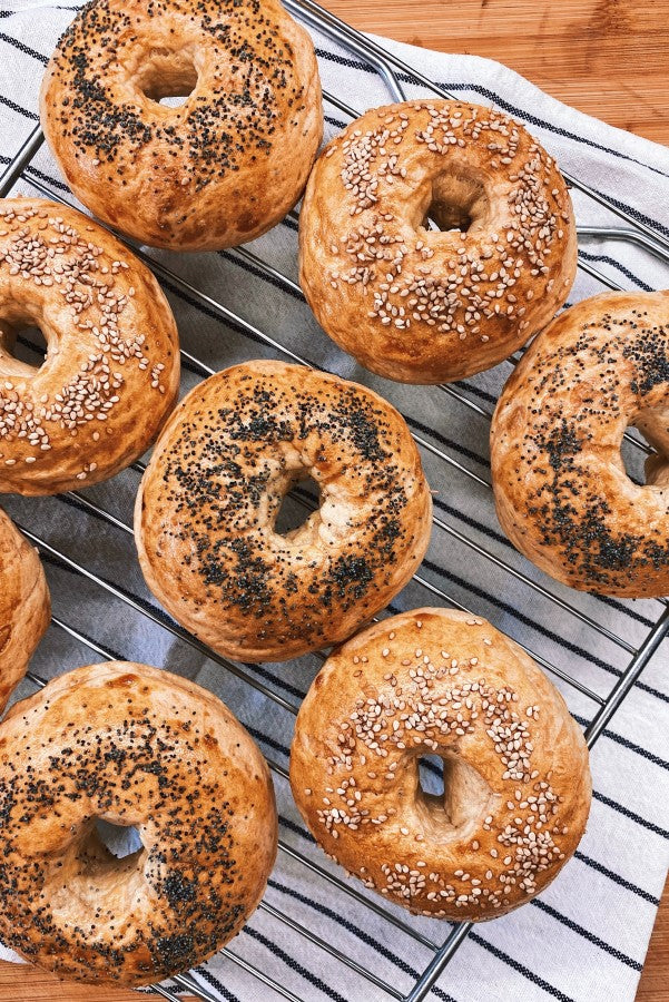 Fresh Baked Bagels Made Using Red Star Active Yeast From Terra Powders