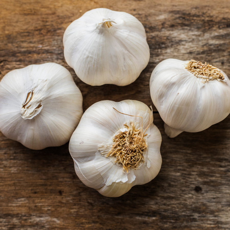 Fresh Picked Herbs Non-GMO Garlic Bulbs