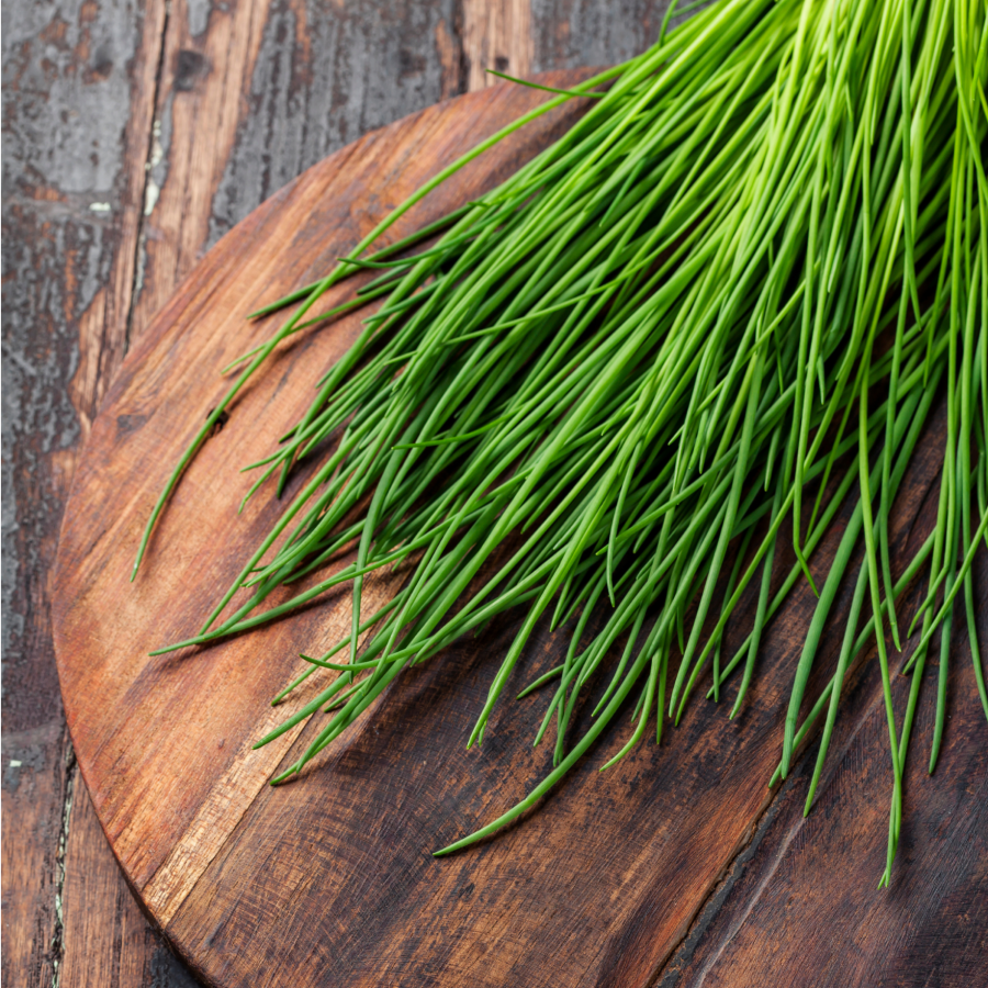 Fresh Picked Herbs Organic Chives