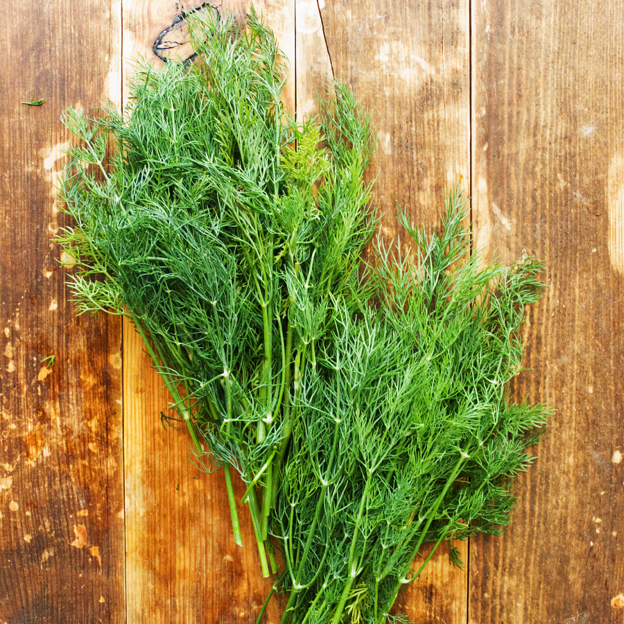 Fresh Picked Herbs Organic Dill Weed