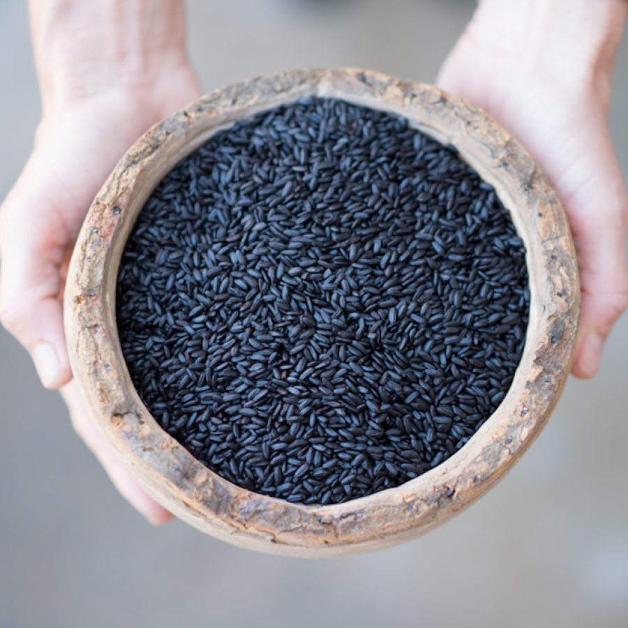 Bowl Of Dark Grain Rice Non-GMO Lotus Foods Black Forbidden Rice