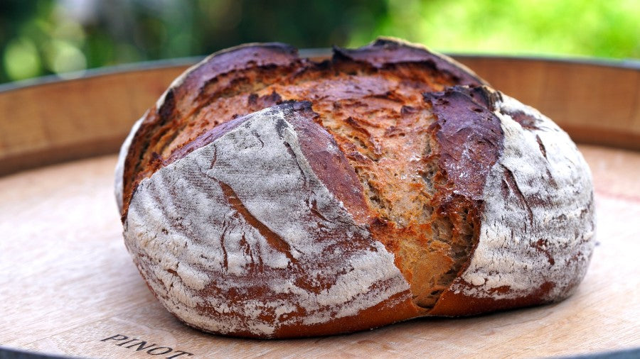 Make Rich Unforgettable Bread Using Springs Mill Purple Barely for Color, Nutrition, and Flavor