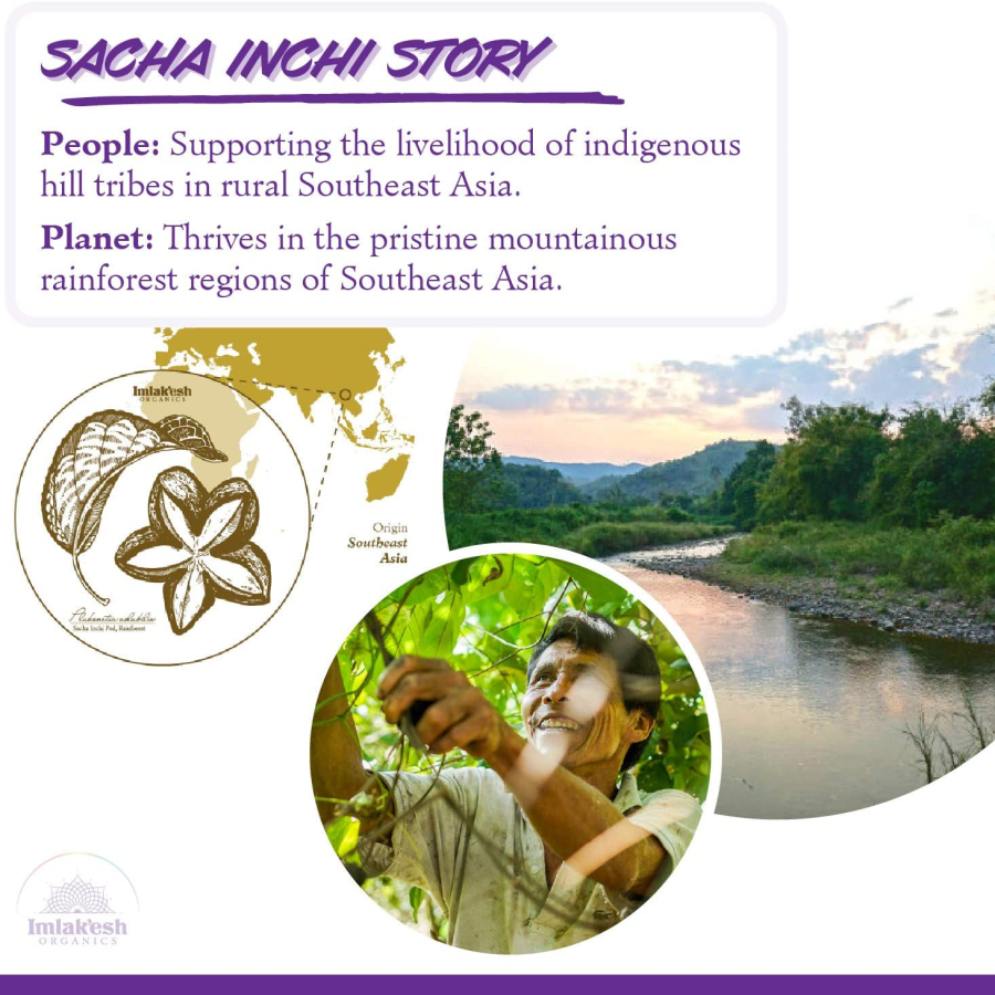 Imlak'esh Organics Sacha Inchi Story Infographic