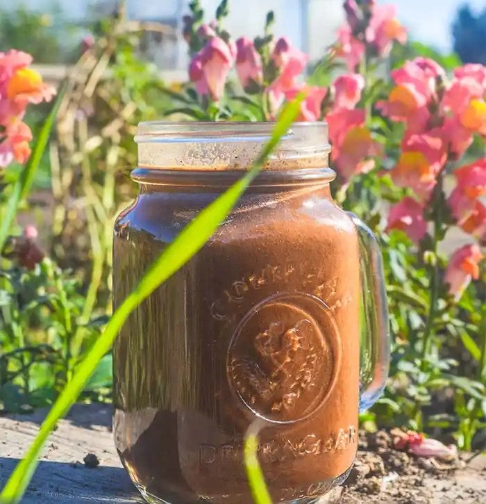 Imlakesh Recipe Hippy Zippy Chocolate Smoothie Made With Maca Root Powder And Cocoa