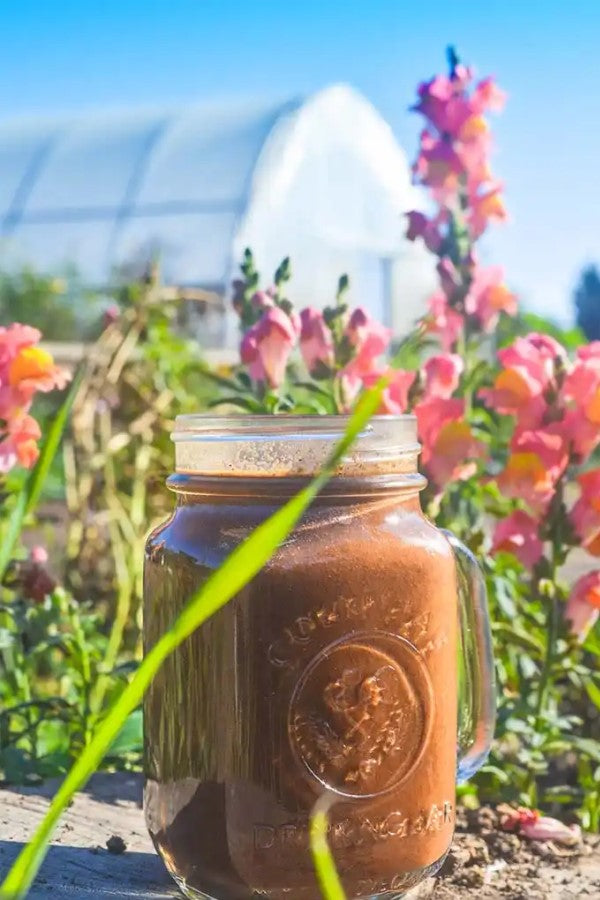 Imalkesh Organics Recipe Hippy Zippy Chocolate Smoothie With Cacao Powder
