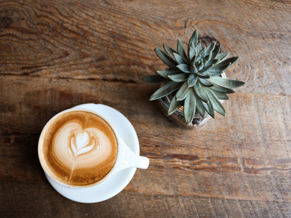 Organic Latte In White Cup And Saucer With Succulent Plant On Natural Wood Table