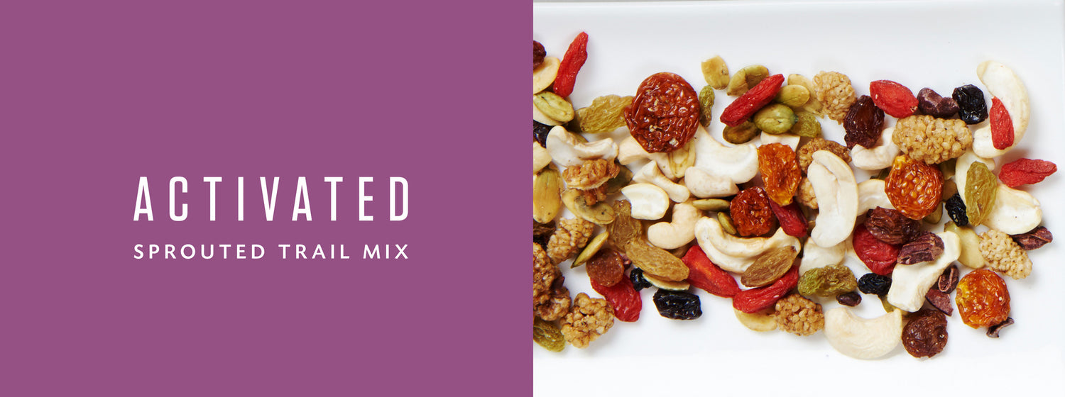 Activated Sprouted Trail Mix Living Intentions Wild Berry Healthy Snack Food