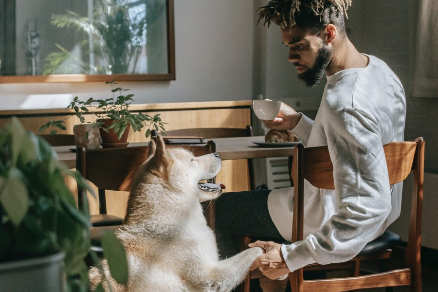 Man Drinking Organic Coffee While Shaking Dogs Paw