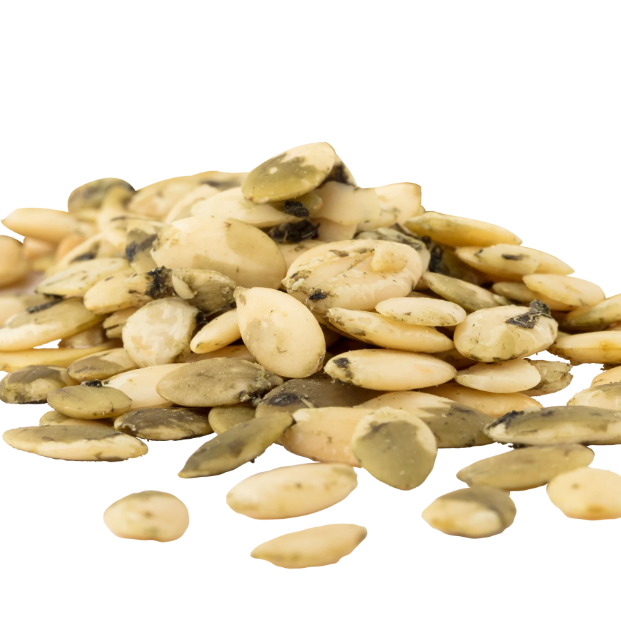 Organic Sprouted Pumpkin Seeds With Sea Salt Go Raw