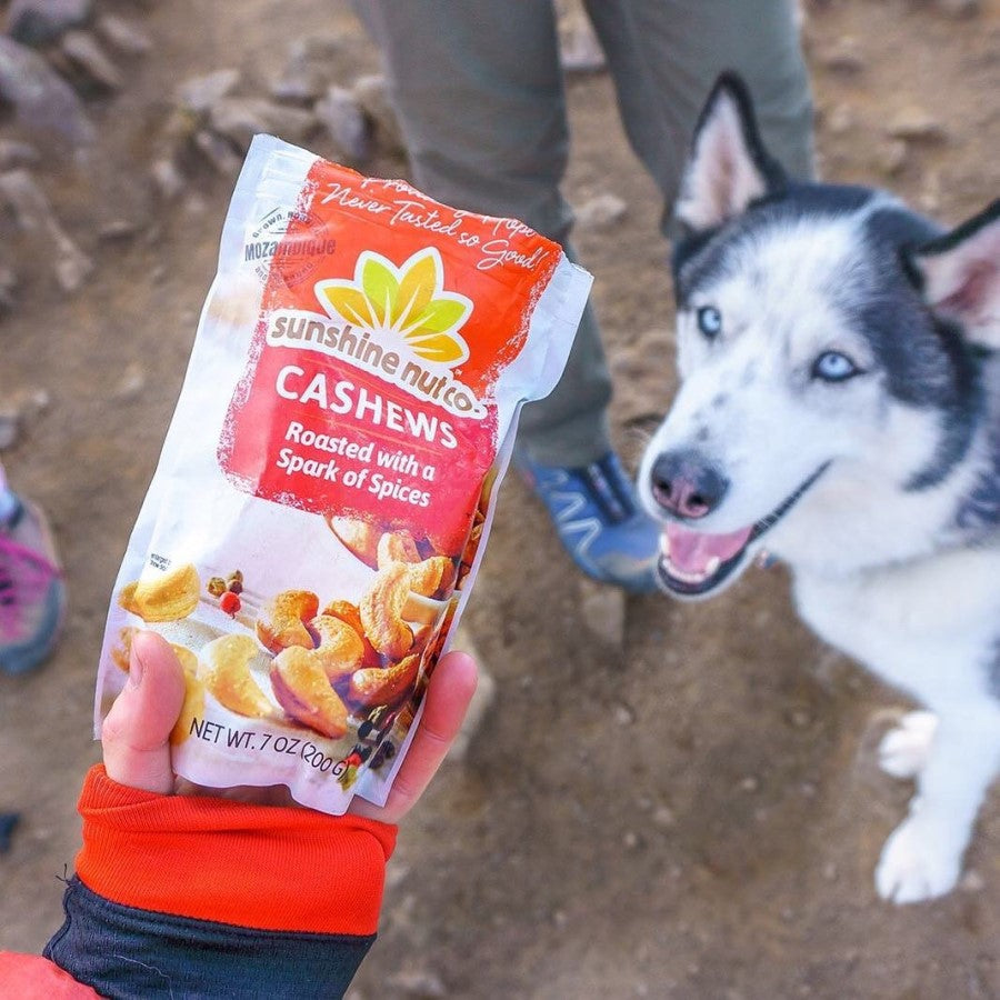 Huskey Dog And People Outdoors Holding A Bag Of Spicy Sunshine Nut Co Cashews Roasted With A Spark Of Spices For Snacking