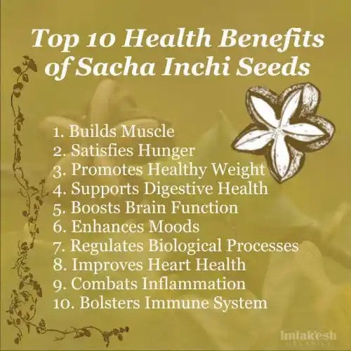 Imlak'esh Organics Sacha Inchi Seeds Infographic Ten Benefits Of Sacha Inchi