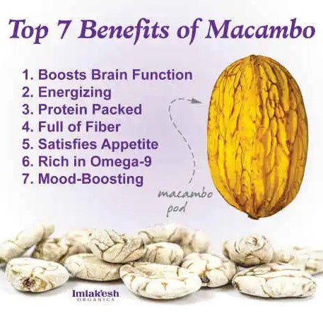 Imlak'esh Organics Macambo Bean Infographic Seven Benefits Of Macambo