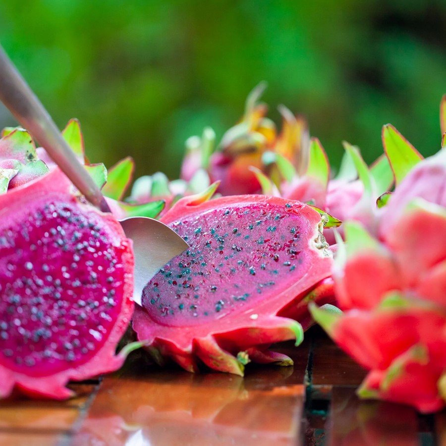 Vibrant Food Pink Pitaya Dragon Fruits Pitaya Plus Organic Fruit