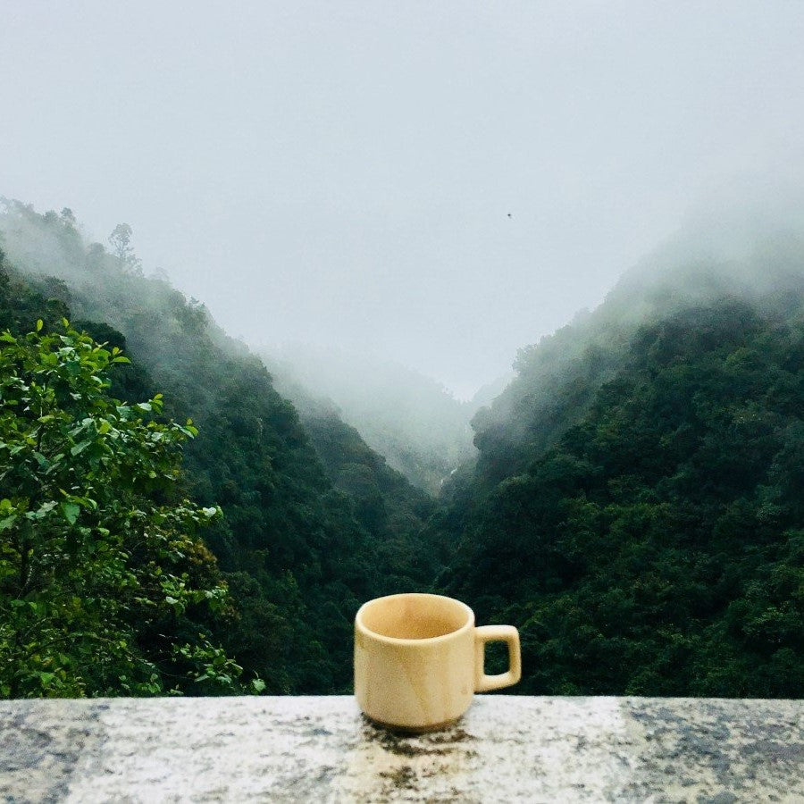 Yellow Coffee Mug Outdoors In Mountain Fog