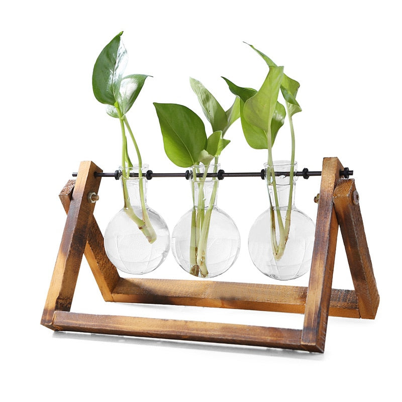 Glass & Wood Hanging Pendulum Tabletop Vases From Terra Powders